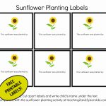 Printable Garden Labels – Rtrs.online   Free Printable Plant Labels