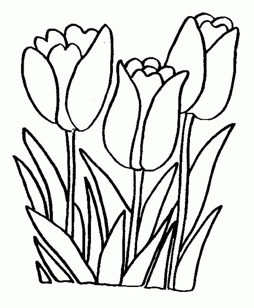 Coloring+Pages+Tulips Printable Tulip Coloring Pages Kids Free