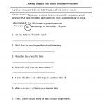Pronouns Worksheets | Singular And Plural Pronouns Worksheets   Free Printable Pronoun Worksheets For 2Nd Grade