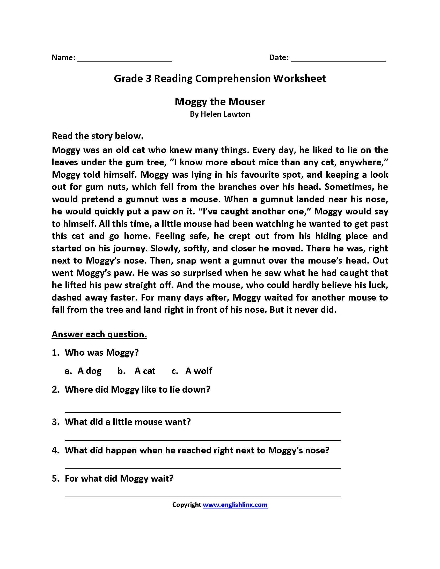 3rd Grading Reading Comprehension Worksheets