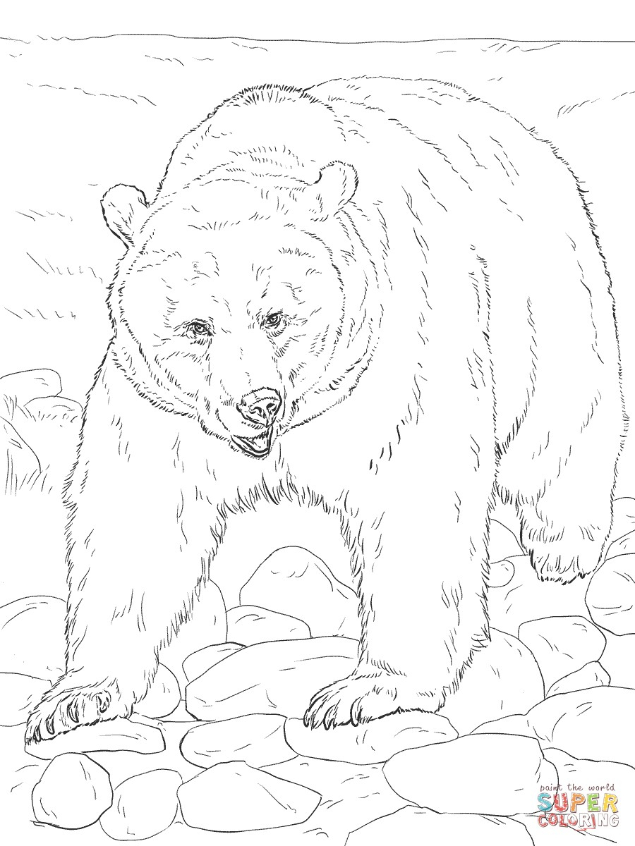 Realistic Animal Coloring Pages - Free Printable Wild Animals - Free Printable Realistic Animal Coloring Pages