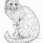Realistic Cat Coloring Page For Kids, Animal Coloring Pages   Free Printable Realistic Animal Coloring Pages