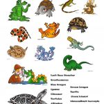 Reptiles Worksheet   Free Esl Printable Worksheets Madeteachers   Free Printable Reptile Worksheets