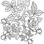 Roses Flowers Coloring Page | Free Printable Coloring Pages   Free Printable Flower Coloring Pages