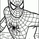 Spiderman To Print   Spiderman Kids Coloring Pages   Free Printable Spiderman Coloring Pages