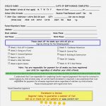 Summer Camp Application Form Sample | Leancy Travel   Free Printable Summer Camp Registration Forms