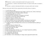 Symbiosis Worksheet: Free Printable Worksheets On High School Bio   Free Printable High School Worksheets