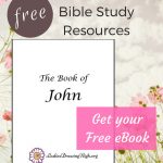 The Book Of John — Intro And Resources | Bible Study | Bible Study   Free Printable Bible Study Lessons Genesis