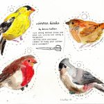 These Are My Holiday Cards For 2010: Various Winter Birds. You Can   Free Printable Images Of Birds