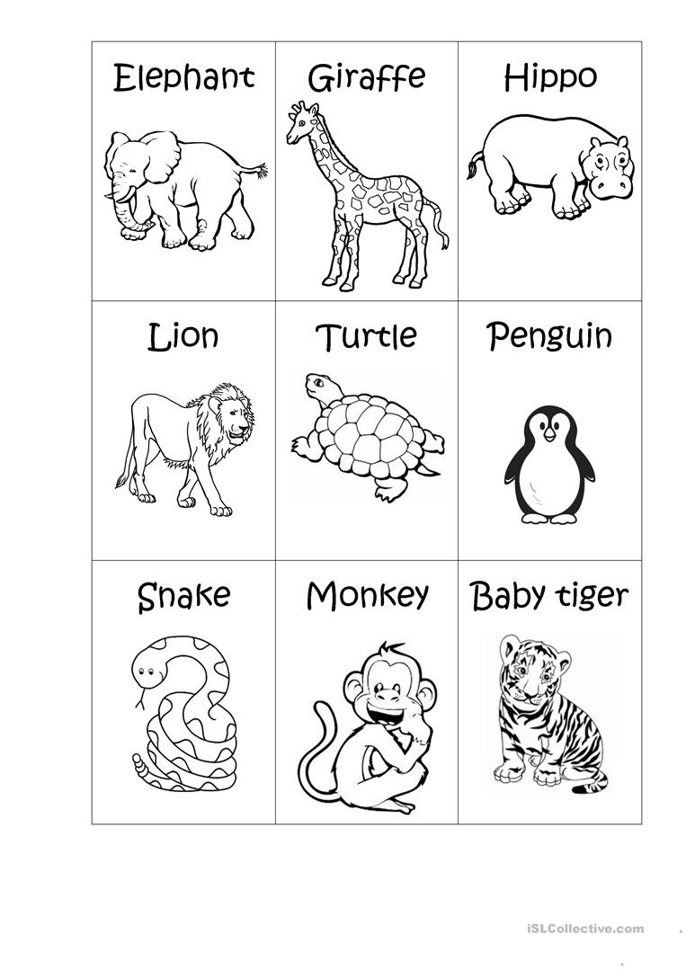 Zoo Animals Worksheet - This Worksheet Is Designed To Teach The - Free ...