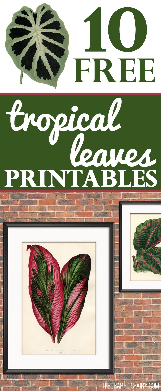 10 Free Tropical Leaves Printables - Instant Art Botanicals! - The - Free Printable Leaves