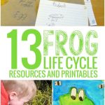 13 Frog Life Cycle Resources And Printables   Teach Junkie   Life Cycle Of A Frog Free Printable Book
