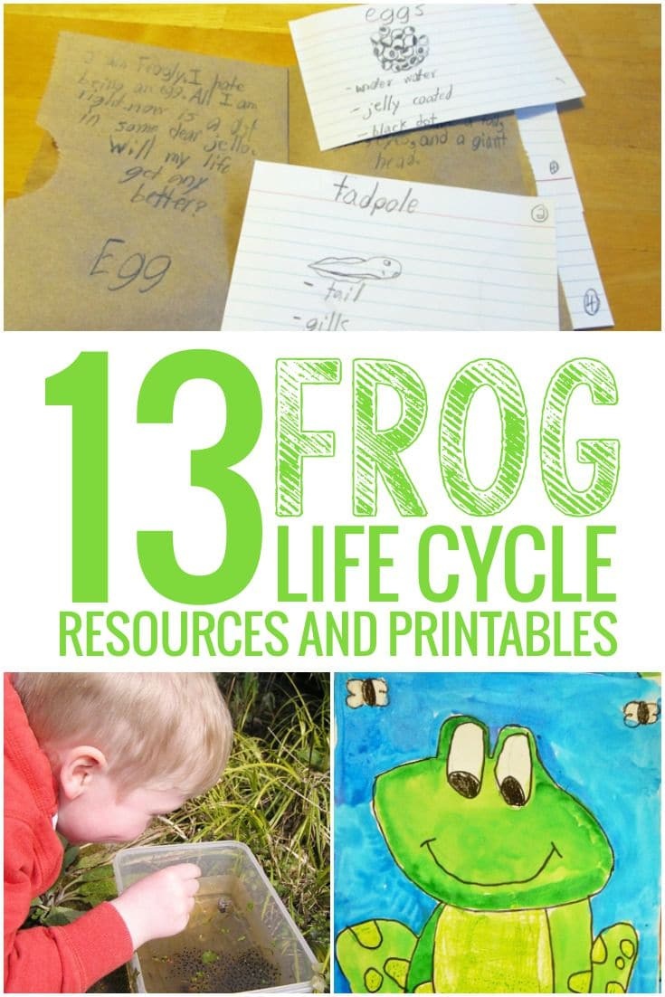 13 Frog Life Cycle Resources And Printables - Teach Junkie - Life Cycle Of A Frog Free Printable Book