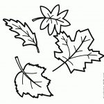 19 Free Pictures For: Fall Leaf Coloring Pages. Temoon   Coloring   Free Printable Fall Leaves Coloring Pages