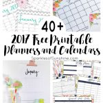 40+ Awesome Free Printable 2017 Calendars And Planners   Sparkles Of   Free Printable Organizer 2017
