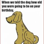 94+ Humor Birthday Cards Printable   Star Wars Funny Birthday Card   Free Printable Humorous Birthday Cards