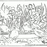 Adult Coloring Pages Free Spring   Coloring Home   Free Printable Spring Coloring Pages For Adults