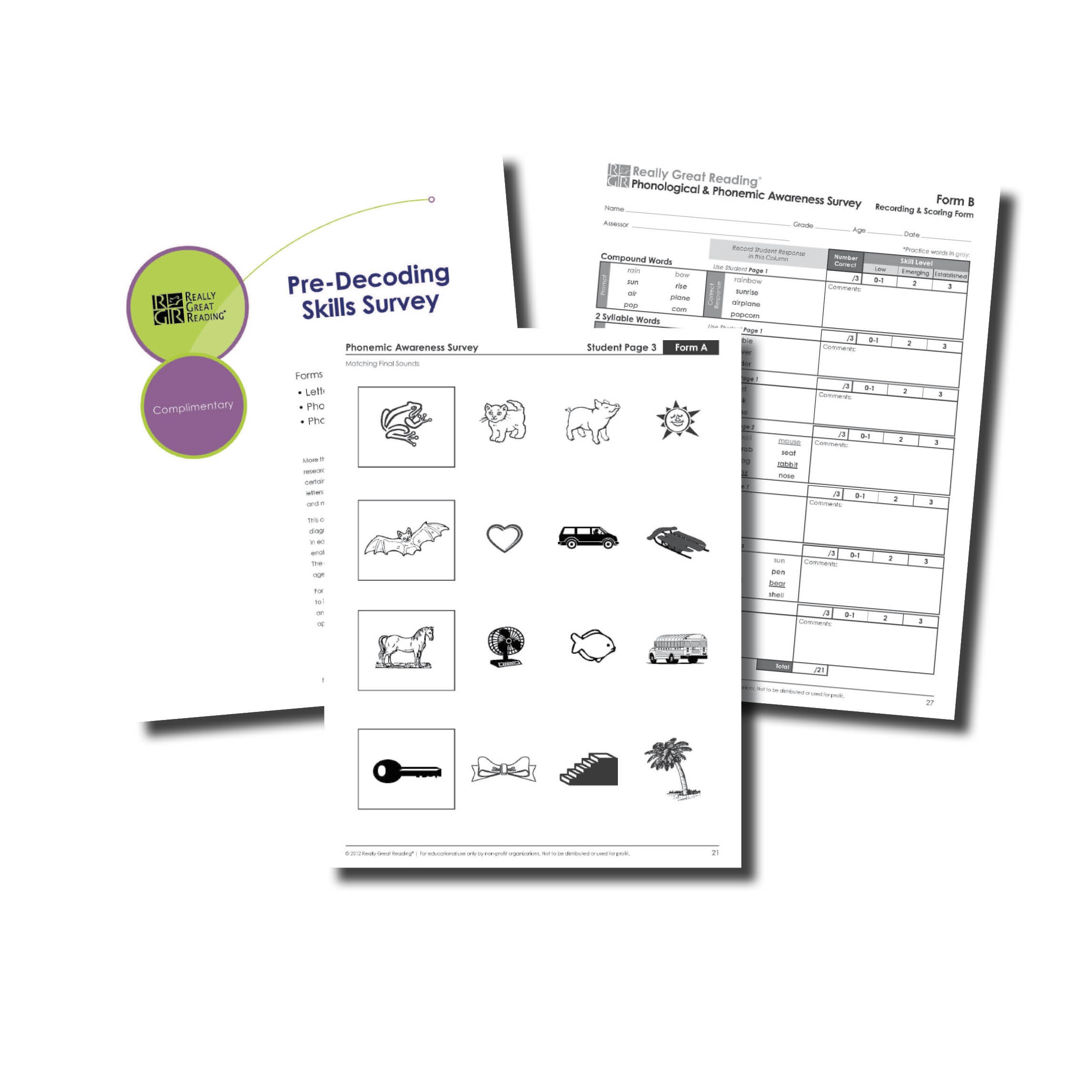 Advanced Decoding Survey Plus | Really Great Reading - Free Printable Diagnostic Reading Assessments