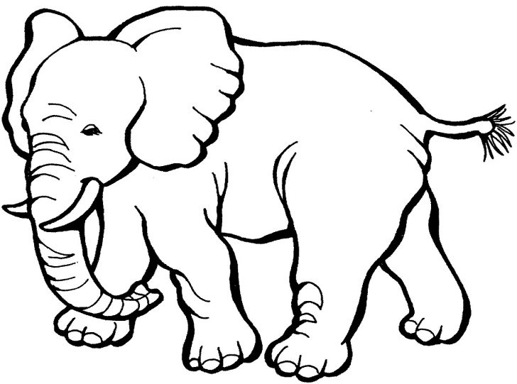 Free Printable Animal Coloring Pages