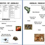 Animals And Their Characteristics (Free Worksheet)   Homeschool Den   Free Printable Animal Classification Cards