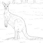 Australian Animals Coloring Pages | Free Printable Pictures   Free Printable Pictures Of Australian Animals