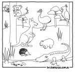 Australian Animals Colouring Pages | Australian Thinking Day   Free Printable Pictures Of Australian Animals