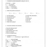 Beginner English Test Worksheet   Free Esl Printable Worksheets Made   Free Esl Assessment Test Printable
