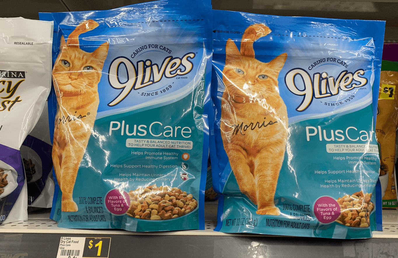 Better Than Free 9Lives Dry Cat Food At Dollar General!living Rich - Free Printable 9 Lives Cat Food Coupons