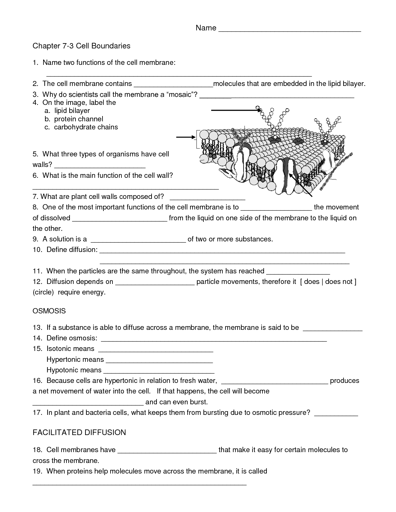 Biology Cell Worksheets | Carpe Diem Science | Science Worksheets - Free Printable Biology Worksheets For High School