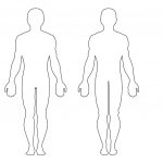 Body Sketch Outline At Paintingvalley | Explore Collection Of   Free Printable Human Body Template
