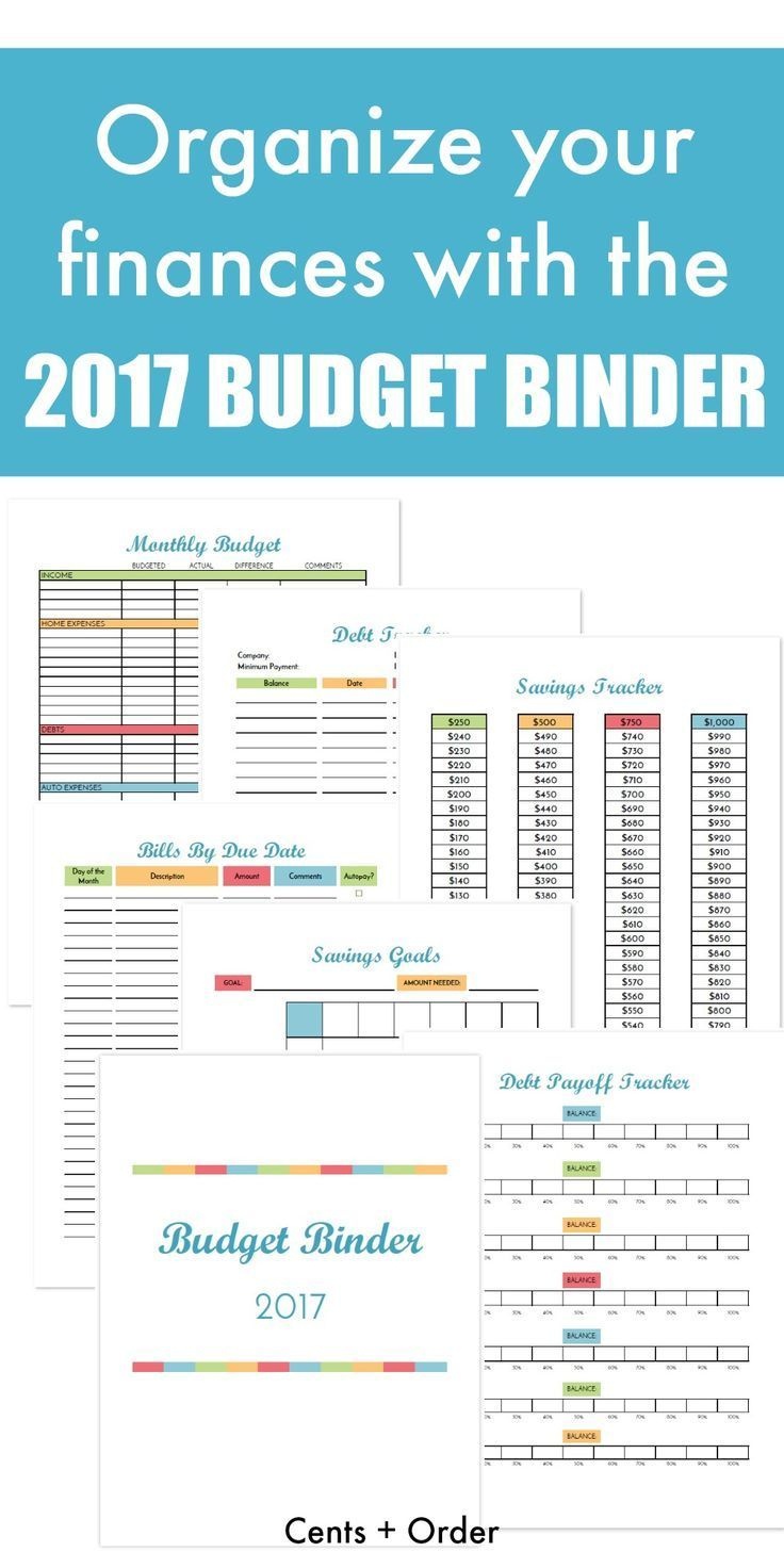 Budget Binder Printable: How To Organize Your Finances | Adulting - Free Printable Budget Binder Worksheets