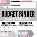 Budget Binder Printables   Single Moms Income   Free Printable Budget Binder Worksheets