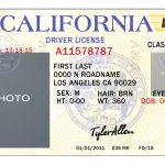 California Drivers License Template | California | Drivers License   Free Printable Fake Drivers License