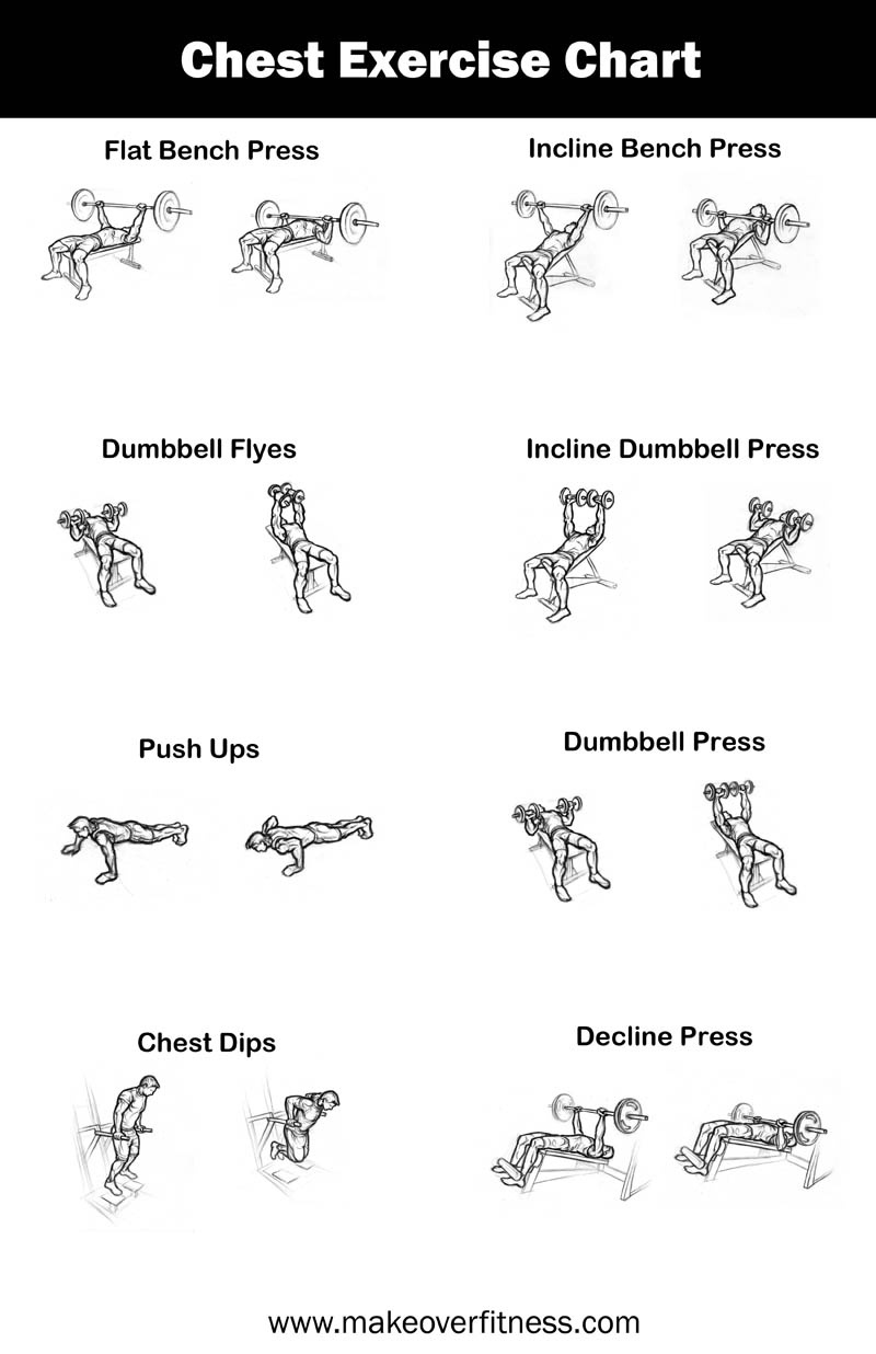 Printable Weight Lifting Chart | Shop Fresh - Free Printable Gym