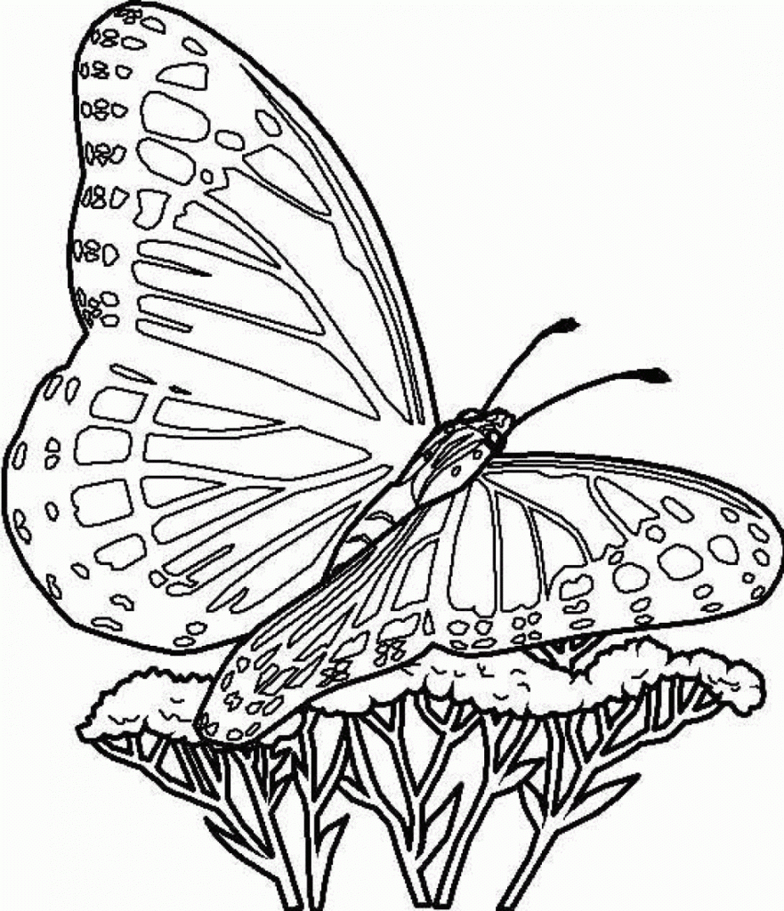 Coloring ~ Free Printable Butterfly Coloring Pages For Kids - Free Printable Butterfly Coloring Pages