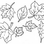 Coloring Ideas : Fall Leaves Coloringagesrintable Ideasage Weird   Free Printable Fall Leaves Coloring Pages