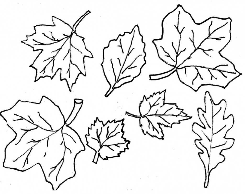 Coloring Ideas : Fall Leaves Coloringagesrintable Ideasage Weird - Free Printable Fall Leaves Coloring Pages