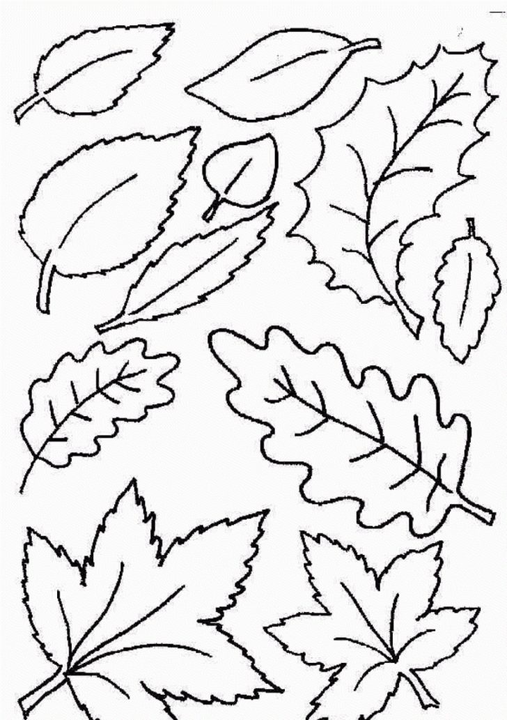 Free Printable Pictures Of Autumn Leaves
