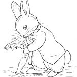 Coloring Ideas : Peter Rabbit Stealing Carrots Coloring Page Free   Free Printable Peter Rabbit Coloring Pages