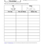 Compare And Contrast Graphic Organizers   Enchantedlearning   Free Printable Compare And Contrast Graphic Organizer