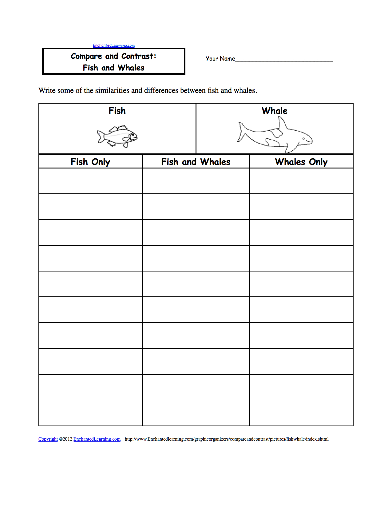 What Is Compare And Contrast Graphic Organizer