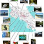 Costa Rica  Free Printable Map Download   Free Printable Map Of Costa Rica
