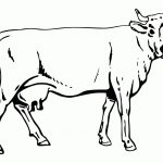 Cow Coloring Page | Free Printable Coloring Pages   Coloring Pages Of Cows Free Printable