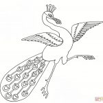 Dancing Peacock Coloring Page | Free Printable Coloring Pages   Free Printable Peacock Pictures
