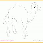 Download Free Printable Camel Line Tracing Drawing Worksheets For   Free Printable Drawing Worksheets