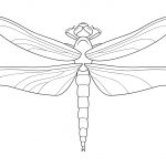 Dragonfly Coloring Page | Free Printable Coloring Pages   Free Printable Pictures Of Dragonflies