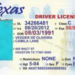 Fake Beepmunk Free Drivers Template Printable License Texas Download   Free Printable Fake Drivers License