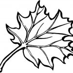Fall Leaves Coloring Pages 23 Fall Leaves Coloring Pages Printable   Free Printable Leaf Coloring Pages