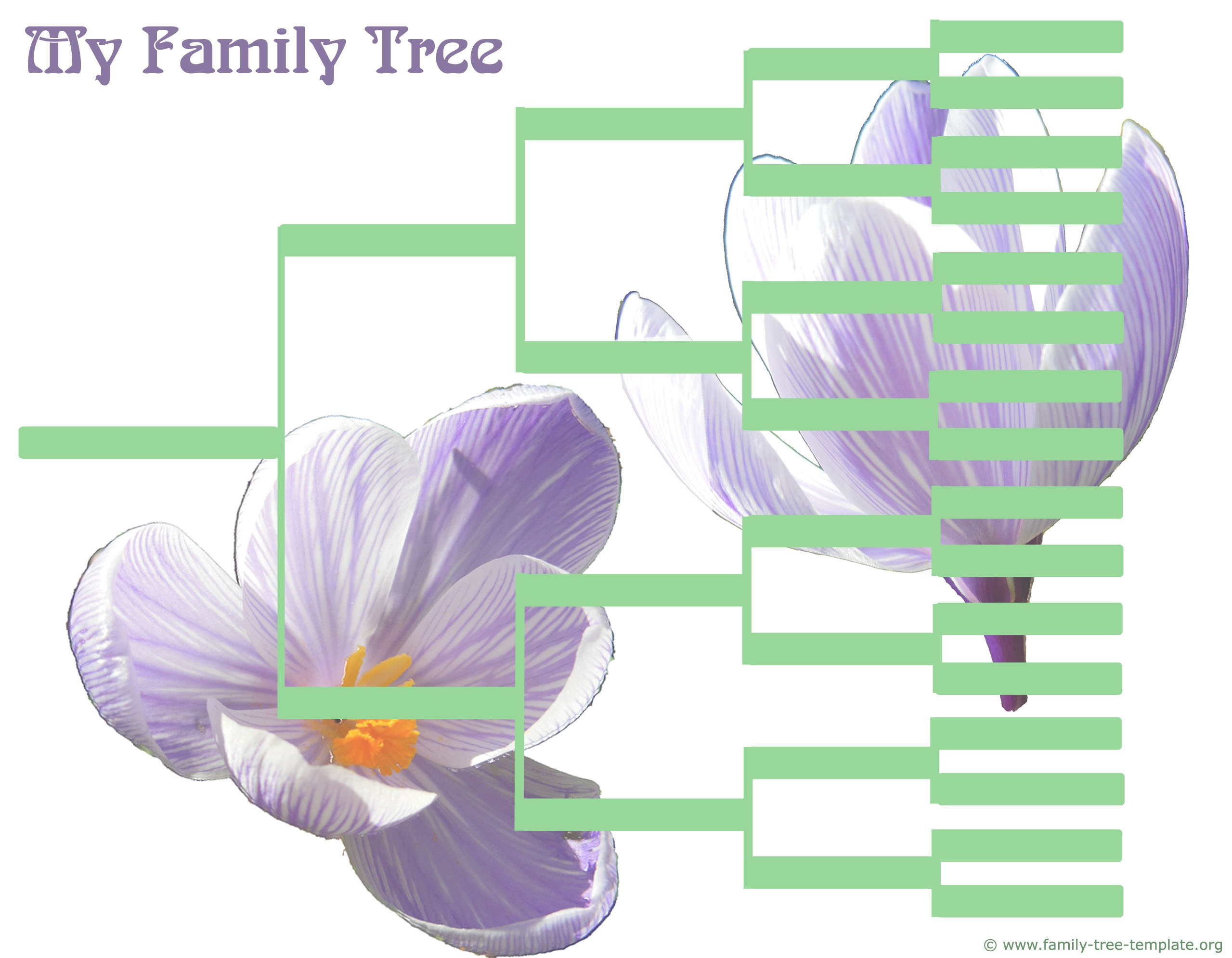 Free Printable Family Tree Template 4 Generations Free Printable