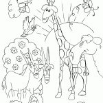 Free Bible Creation Coloring Pages | Creation Printables | Sunday   Free Printable Bible Story Coloring Pages